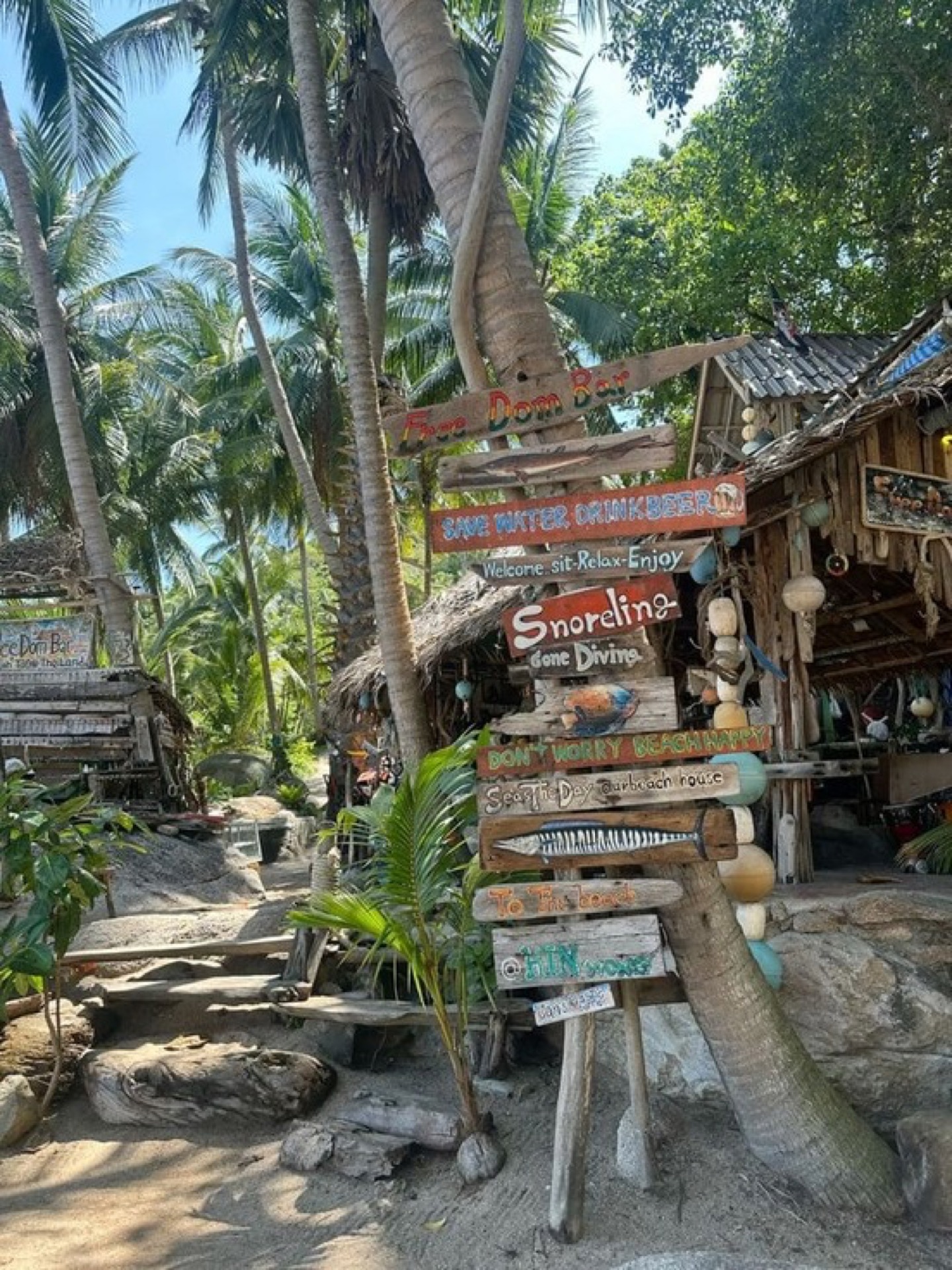 Koh Tao: Vida bajo el mar