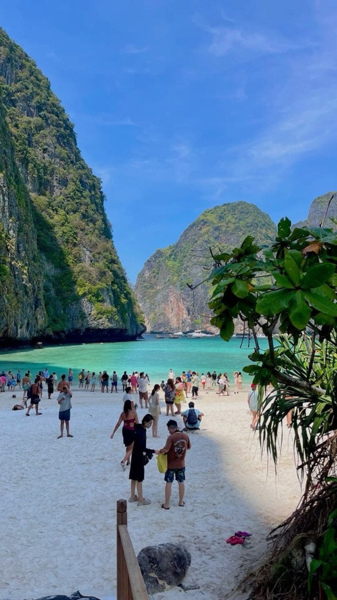 Tailandia 🇹🇭